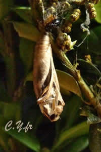 Ouf, sans top dÃ©part, câest parti, ne rien raterâ¦