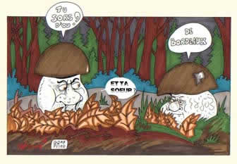 CÃ¨pes de Bordeaux by Wisson 