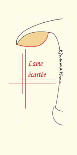 Champignon Ã  lame Ã©cartÃ©e, Ã©loignÃ©e du pied.