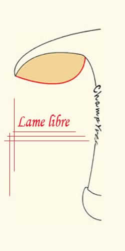Champignon Ã  lames libres, la lame ne touche pas le stipe.