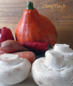 Champignons et potirons, un beau potage, ou autre !