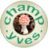 ChampYves : tous les champignons.