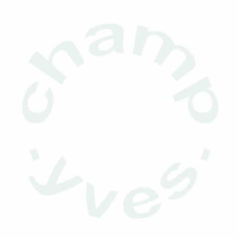 Click sur le logo ChampYves pour entrer sur le site des champignons sauvages, champignons des bois, champignons de prairies , tous les champignons.